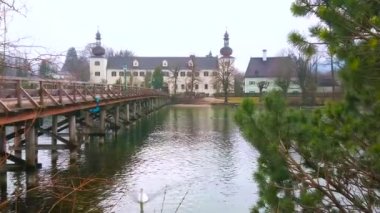 Beyaz kuğu Traunsee gölü boyunca eski ahşap köprü boyunca yüzer, Ort Seeschloss bağlayan (göl kale), küçük ada ve Ort Landschloss (kara kale), Gmunden, Salzkammergut, Avusturya bulunan