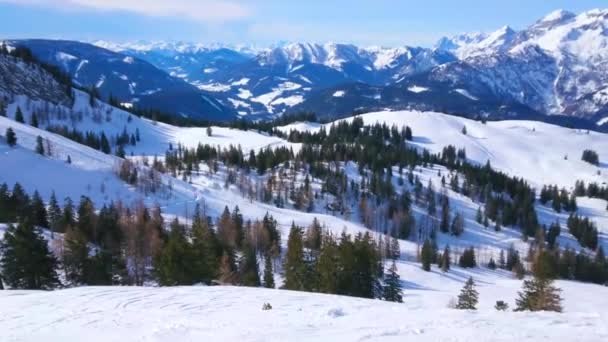 ダッハシュタイン西アルプスの頂上は雪で覆われ 緑豊かなスプルースの森は オーストリアのツヴィーゼラルム山から見た斜面に成長しています — ストック動画