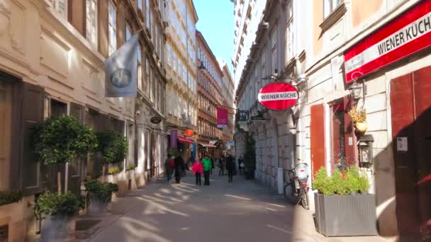 Viena Austria Febrero 2019 Estrecho Callejón Adyacente Calle Graben Con — Vídeo de stock