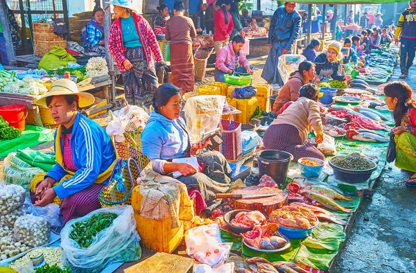 Balık satıcıları sırası, Mingalar Market, Nyaungshwe, Myanmar
