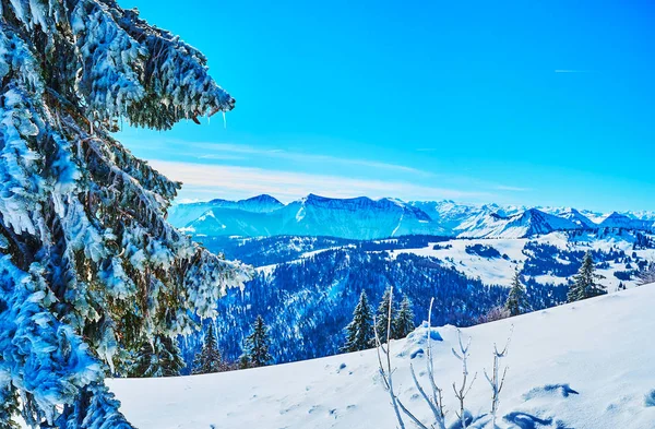 冬季景观与冰冷的云杉，兹沃尔弗霍恩，圣吉尔根，萨尔兹卡 — 图库照片