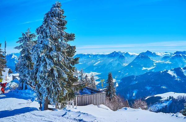 Het winter landschap met bevroren Spruces, Zwolferhorn, St Gilgen, — Stockfoto