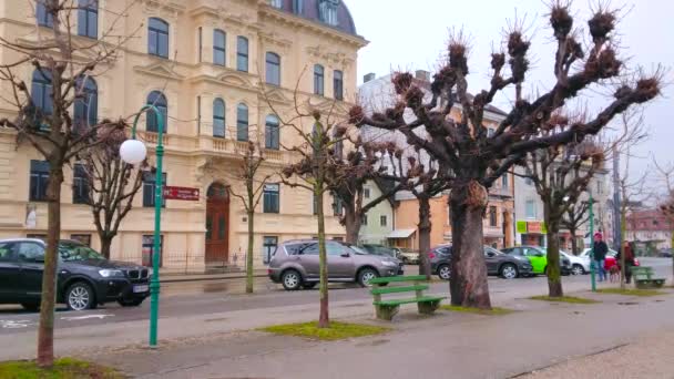 Gmunden Oostenrijk Februari 2019 Het Regenachtige Winterweer Esplanade Lakeside Park — Stockvideo