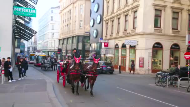 Wenen Oostenrijk Februari 2019 Paarden Getrokken Rijtuigen Zijn Populair Toeristisch — Stockvideo