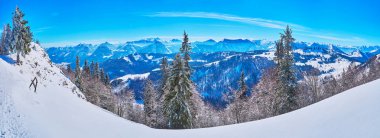 Dağlarda kış ormanı, Zwolferhorn, St Gilgen, Salzkammergu