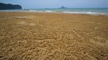 Ao Nang plaj yüzeyi kum kabarcıkçı yengeçler tarafından işgal, yuvaları yaşayan ve düşük gelgit sırasında küçük kum topları yapma, Krabi, Tayland