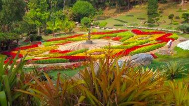 CHIANG RAI, THAILAND - 9 Mayıs 2019: Mae Fah Luang 'ın rengarenk bromeliad bahçesinde farklı türler olan Doi Tung' un 9 Mayıs 'ta Chiang Rai' de keyfini çıkarın.