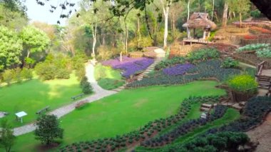 Mae Fah Luang Arboretum ile yürüyün ve süs çiçek yatakları, sulu çim ve gölgeli orman, Doi Chang Moob, Chiang Rai, Tayland keyfini çıkarın