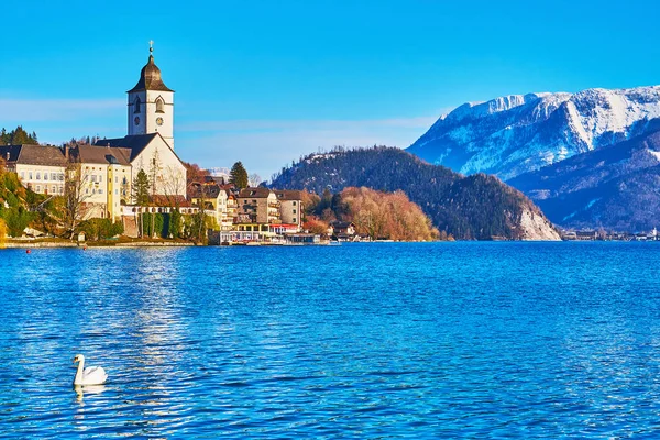 Cisne no lago, St Wolfgang, Salzkammergut, Áustria — Fotografia de Stock