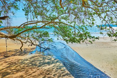 Ao Nang sahilinde piknik, Krabi, Tayland
