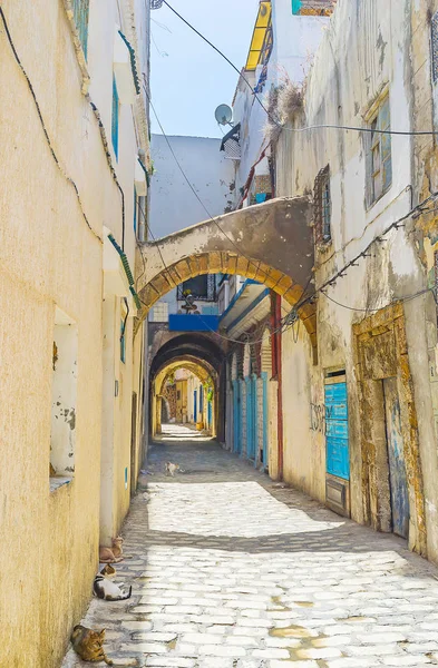 In de oude medina van Bizerte, Tunesië — Stockfoto