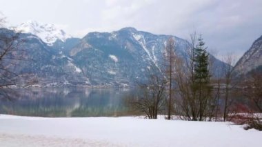 Küçük ağaçlar, büyük Salzberg mount ve arka planda Hallstatt kasabası ile Hallstattersee gölün karlı banka, Salzkammergut, Avusturya