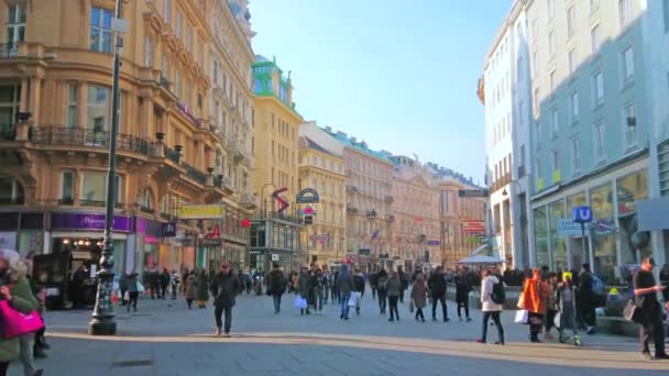 Viena Austria Febrero 2019 Graben Parte Central Viena Lugar Perfecto — Vídeos de Stock