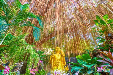Banyan'ın köklerinin üzerindeki Lord Buddha'nın altın heykeli,