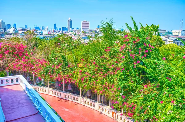 Bangkok Wat Saket tapınağının yeşillik, Tayland