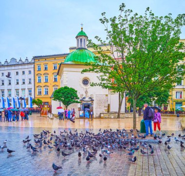 Krakow, Polonya'da güvercinbesleme