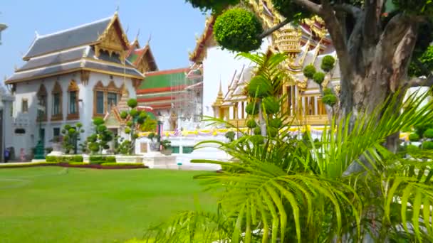 Bangkok Thailand Mei 2019 Het Gazon Voor Chakri Maha Prasat — Stockvideo