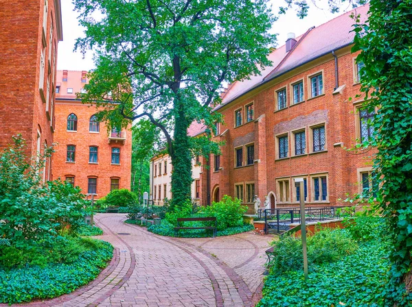 Spaziergang im Garten des Professors in Krakau, Polen — Stockfoto