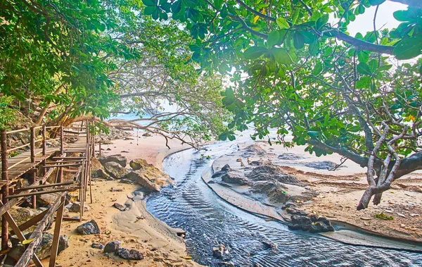 Selva en la costa de Ao Nang, Krabi, Tailandia —  Fotos de Stock