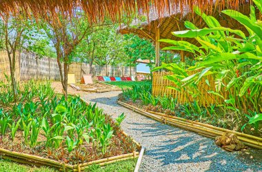 Poopoopaper park, Chiang Mai, Tayland yürüyüş keyfini çıkarın