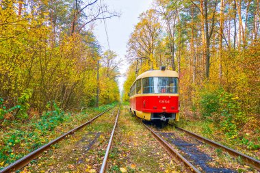 The tram in the forest, Kiev, Ukraine clipart