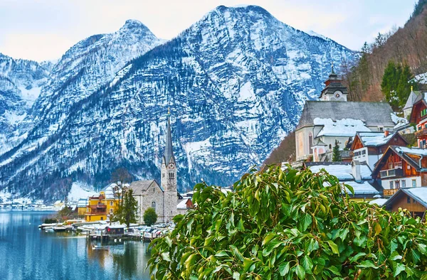 Hallstattersee lake through the greenery, Hallstatt, Salzkammerg — Stockfoto