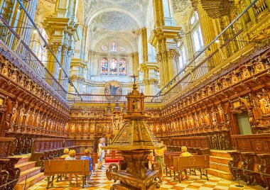 Malaga Katedrali Korosu, İspanya