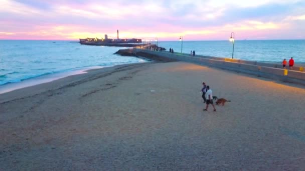 Cadiz Spain Вересня 2019 Люди Ходять Собаками Вздовж Пляжу Видом — стокове відео