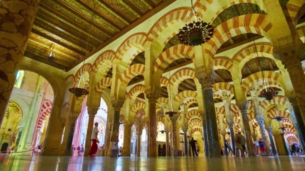 Cordoba España Septiembre 2019 Salón Medieval Hipóstilo Mezquita Catedral Con — Vídeos de Stock