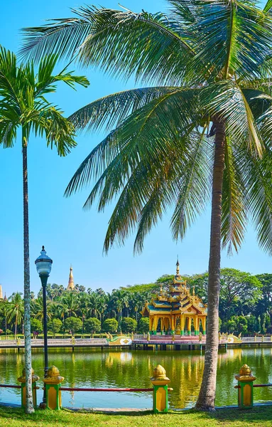 La exuberante palmera en el parque Theingottara, Rangún, Myanmar — Foto de Stock