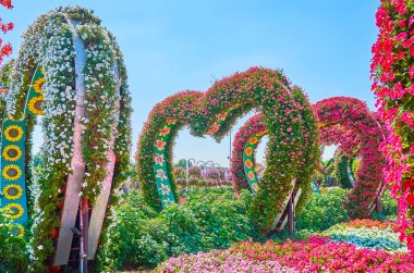 DUBAI, BAE - 5 Mart 2020: Miracle Garden 'ın manzaralı kalp kemeri sokağı 5 Mart' ta Dubai 'de farklı renkte petunyalarla süslenmiştir.