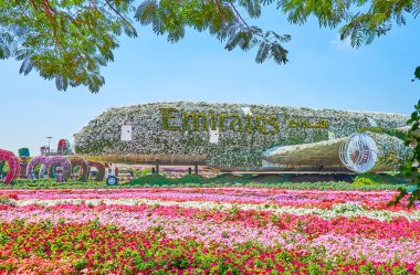 DUBAI, BAE - 5 Mart 2020: 5 Mart 'ta Dubai' de, petunya çiçekleri arasında bulunan, çiçeklerle ve canlı bitkilerle kaplı eşsiz uçak tesisatının tadını çıkarın