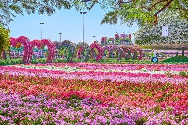 DUBAI, BAE - 5 Mart 2020: Renkli petunya çiçek yatakları, kalp kemeri yolu, Miracle Garden 'daki uçak ve peri kalesinin 5 Mart' ta Dubai 'de kurulumu