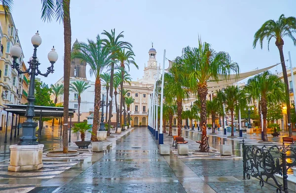 ヤシの木 カディス スペインの後ろのタウンホールとサンファンデディオス広場の景色を望む旧市街の雨の天気 — ストック写真