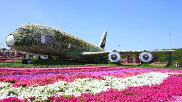 2017年3月5日 阿联酋 2020年3月5日 享受独特的飞机安装 覆盖着鲜花和活的植物 位于奇迹花园的牡丹花坛之间 — 图库视频影像
