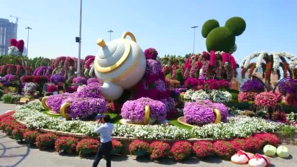 ドバイ アラブ首長国連邦 2020年3月5日 ドバイで3月5日 奇跡の庭の大きな花壇にあるカップにピンクペチュニアの花のティージェットを注ぎ ティーポットで風光明媚なインストール — ストック動画