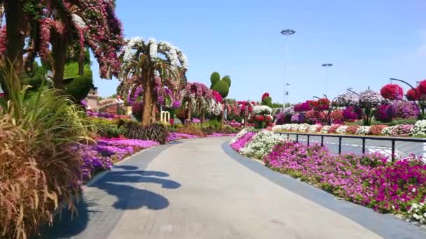 Dubai Uae Mars 2020 Promenera Den Kurviga Gränden Och Njut — Stockvideo