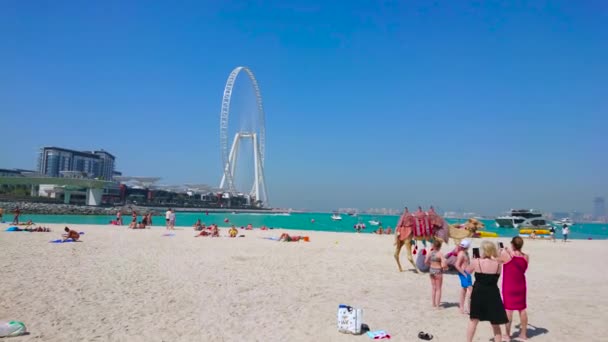 阿联酋迪拜 2020年3月7日 3月7日 迪拜蓝水岛上Ain Dubai Ferris Wheel前Jbr Marina海滩上的骆驼 — 图库视频影像