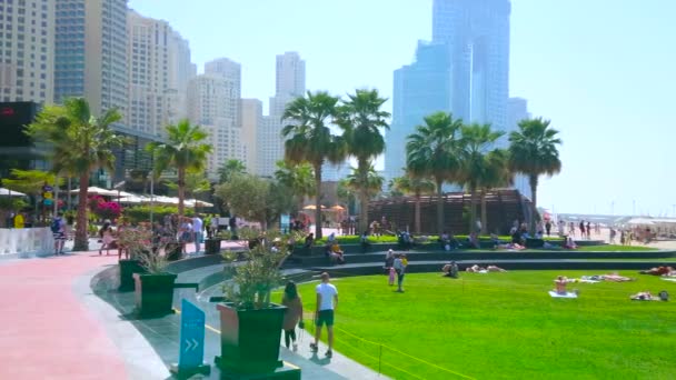 ドバイ アラブ首長国連邦 2020年3月7日 ジューシーな芝生 緑のヤシの木 観光屋台 屋外カフェ 近代的な高層ビルを背景にしたJbrマリーナビーチの散歩 ドバイで3月7日 — ストック動画