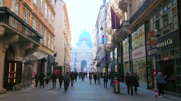 Vienna Αυστρια Φεβρουαριου 2019 Πολυσύχναστος Εμπορικός Δρόμος Του Kohlmarkt Θέα — Αρχείο Βίντεο