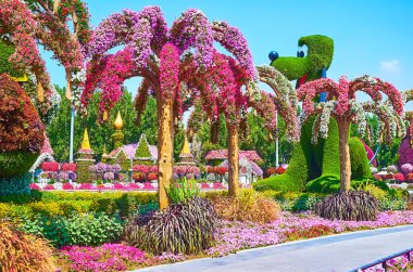 DUBAI, BAE - 5 Mart 2020: Mucize Bahçesi, 5 Mart 'ta Dubai' de petunya çiçekleri ve yeşil bitkilerle kaplı renkli tesislerle övünüyor