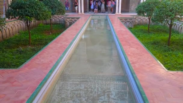 塞维利亚 Spain 2019年10月1日 塞维利亚历史上著名的Patio Las Doncellas全景 在花边般的城墙中间有一个池塘 上面覆盖着华丽的塞布卡 阿尔卡扎尔宫 — 图库视频影像