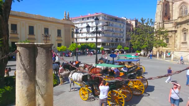 Seville Spain October 2019 Парковка Кінних Екіпажів Соборі Конституційному Авеню — стокове відео