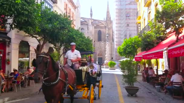 Seville Hiszpania Wrzesień 2019 Powóz Konny Turystami Przejeżdżający Ulicą Calle — Wideo stockowe