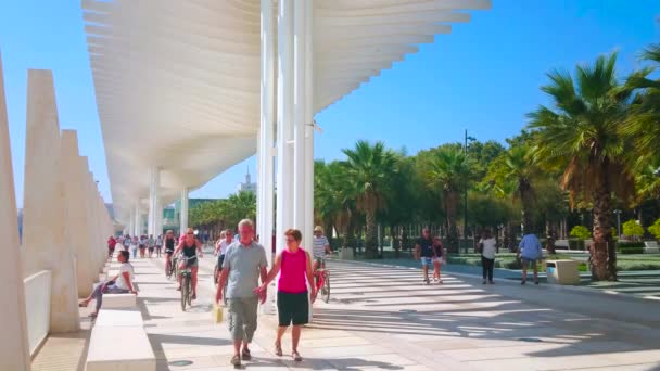 Malaga España Septiembre 2019 Caminata Día Por Paseo Marítimo Palm — Vídeos de Stock