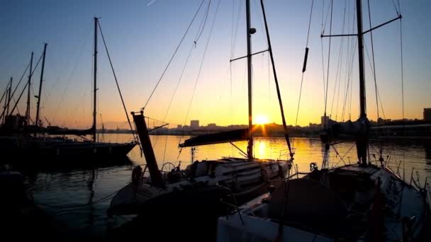 Malaga Spain September 2019 Fiery Dusk Sail Yachts Malaga Port — Stock Video