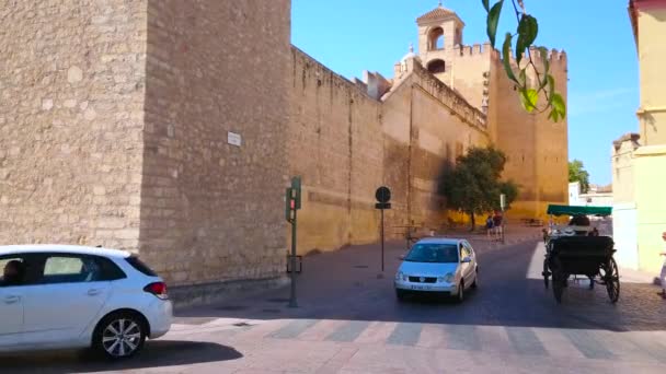Cordoba Espagne Septembre 2019 Calèche Touristique Longe Rue Étroite Mur — Video
