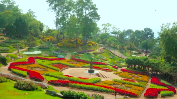 Den Stjärnformade Centrala Blomsterbädden Den Fleråriga Trädgården Mae Fah Luang — Stockvideo