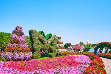 DUBAI, BAE - 5 Mart 2020: Petunyaların parlak pembe çiçek yatağı kelebek yerleşimiyle süslenir ve 5 Mart 'ta Dubai' de Miracle Garden 'da saksılarda bitkilerle ayakta durur.