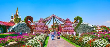 DUBAI, BAE - 5 Mart 2020: 5 Mart 'ta Dubai' de, çiçek tarlaları ve çiçekli kuğuların bulunduğu Miracle Garden Caddesi Panoraması